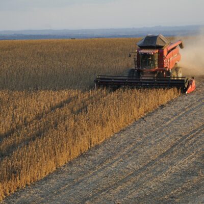 Agricultura